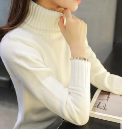 Women Soft Knitted Turtleneck Sweater